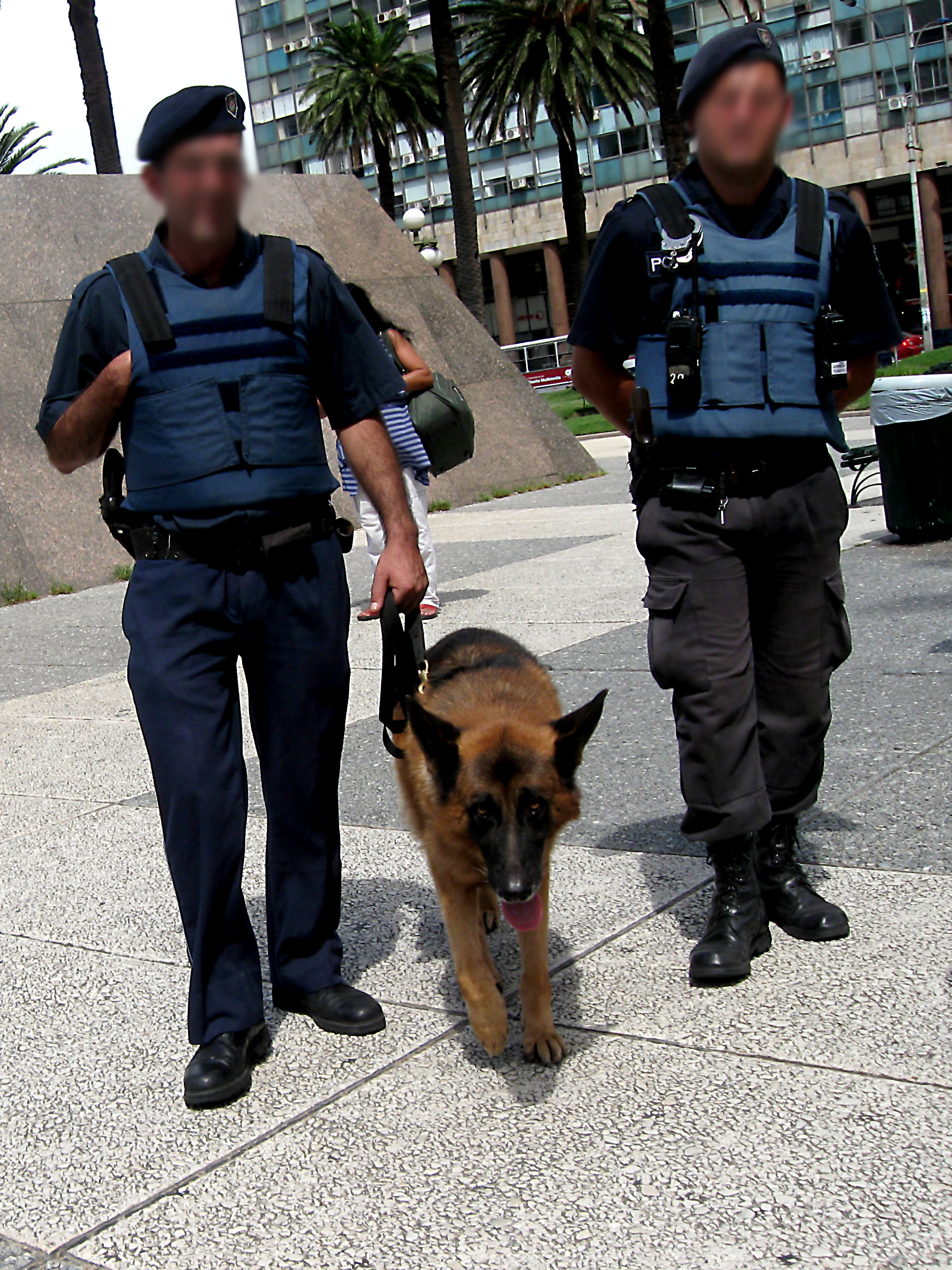 police dog.jpg